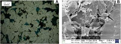 Study and Choice of Water Saturation Test Method for Tight Sandstone Gas Reservoirs